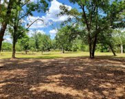 2410 Wallace Road, Lutz image