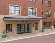 600 ELIZABETH Unit 120, Rochester image