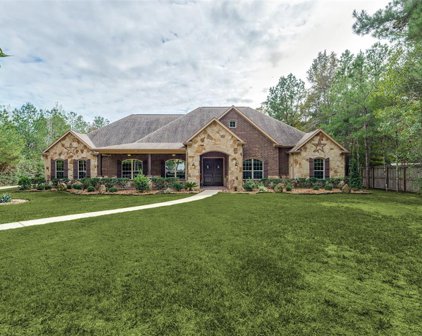 15561 Zoe Loop Drive, Montgomery