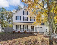 211 Twin  Falls Drive, Simpsonville image