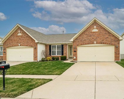 174 New Holland  Drive, Chesterfield