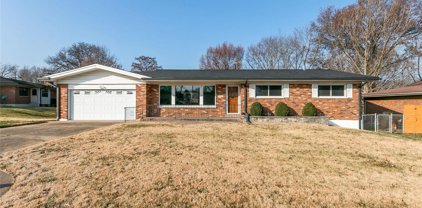 9123 Clydesdale, St Louis