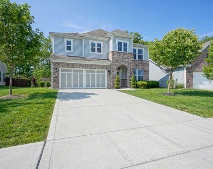 8552 N Deer Hill Drive, Mccordsville