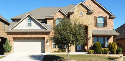 12219 Lexi Petal, San Antonio