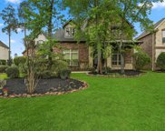 27 Player Oaks Place, The Woodlands image