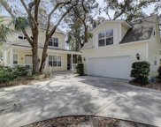Hilton Head Island image