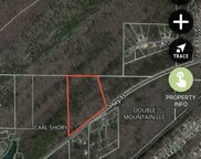 County Highway 11 Unit 24 +/- Acres, Pelham image