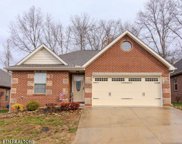 9221 Dragonfly Way, Strawberry Plains image