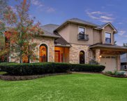 17807 N Blue Heron Circle, Montgomery image