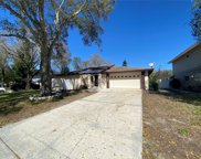 3988 Orchard Hill Circle, Palm Harbor image