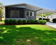 3802 Diamond Oak Way, Zellwood image