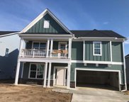 254 Fiddleback Drive, Summerville image