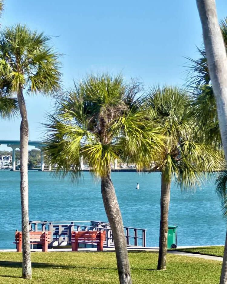 Belleair Beach Real Estate