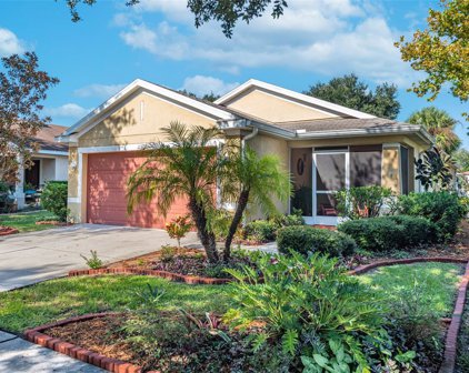 11307 Palm Island Avenue, Riverview