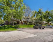 532 Oakwood Drive Unit C101, Castle Rock image