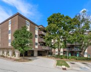 1321 S Finley Road Unit #309, Lombard image