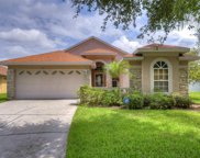 5654 Tughill Drive, Tampa image