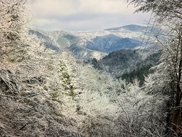 North Ball Hollow Road, Sevierville image
