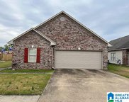 10345 Hunt Circle, Tuscaloosa image