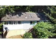 450 N TENMILE, Lakeside image