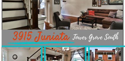 3915 Juniata, St Louis