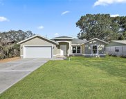 6 Spring Drive Way, Ocala image
