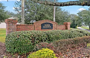 Marsh Hammock