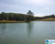 845 Redhawk Ridge Unit 34, Springville image