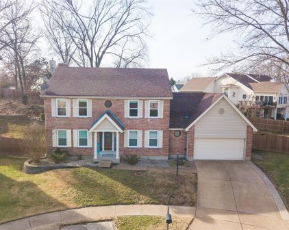 2546 Willow Knoll  Drive, St Louis