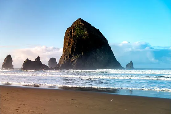 Explore Seal Rock properties
