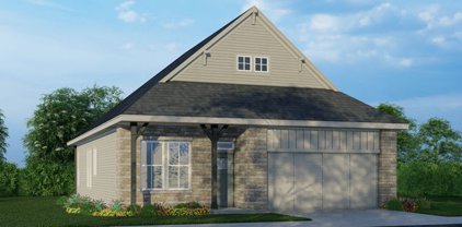 10214 Bartenheim, Schertz