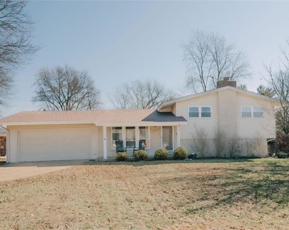5154 Caribee  Drive, St Louis