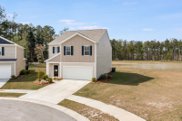 137 Blossom Wood Lane, Summerville image