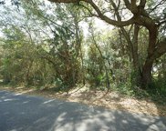 Oak Island Drive, Charleston image
