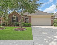 11808 White Water Bay Drive, Pearland image