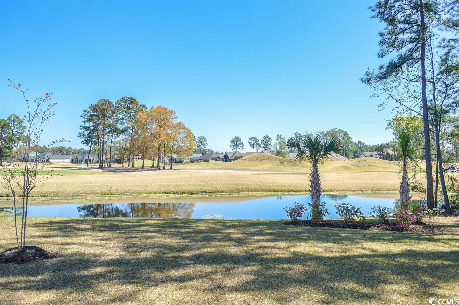 Lots For Sale In Wild Wing Plantation