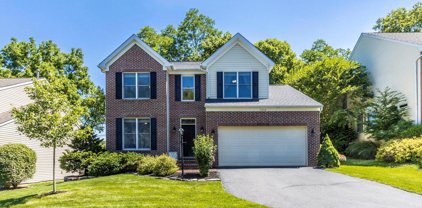 11312 Sanandrew   Drive, New Market