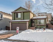 2658 Cove Creek Court, Highlands Ranch image