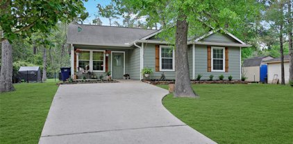 10391 Royal Magnolia Drive, Conroe