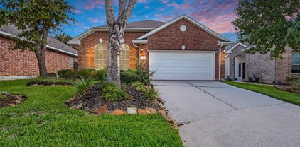 14 Haversham Court, Conroe