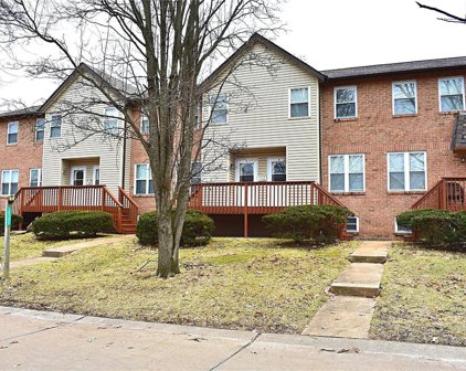 10161 Squire Meadows  Drive Unit #B, St Louis