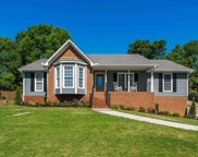104 Black Walnut Lane, Trussville image
