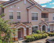 10481 Villa View Circle, Tampa image