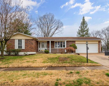 4723 Tonga  Drive, St Louis
