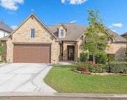 6 Canopy Green Drive, Tomball image