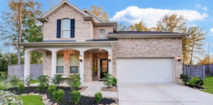 205 Coppery Court, Montgomery