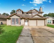 19606 Lake Hollow Lane, Houston image