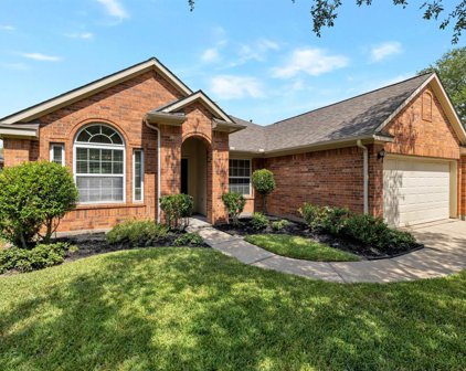 15027 Mills Park Lane, Cypress