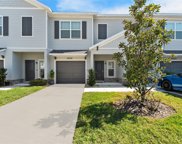 9658 Sweetwell Place, Riverview image