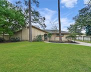 4303 Annawood Circle, Spring image